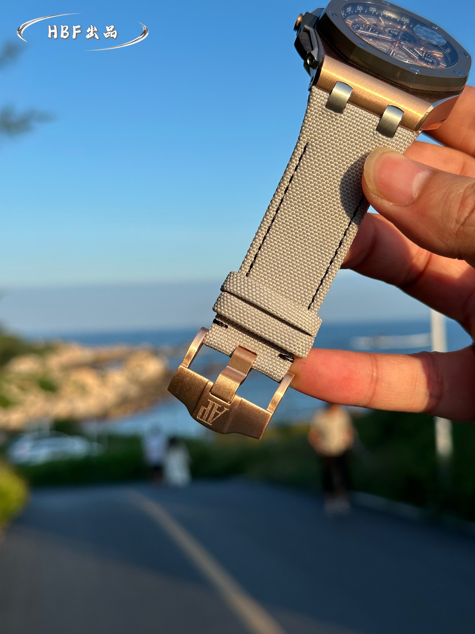 Audemars Piguet watch